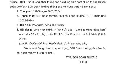 Kế hoạch sinh hoạt chính trị